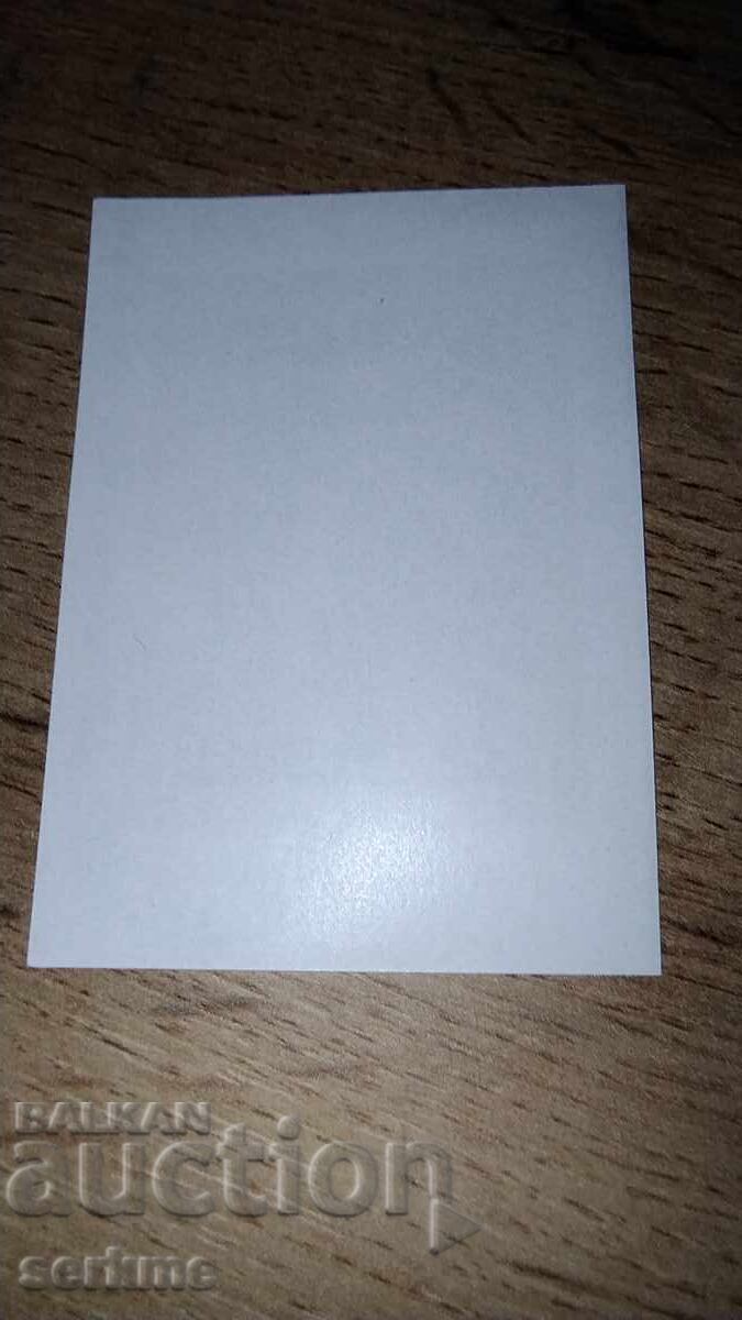 Auction UAE Brand Auction UAE Brand