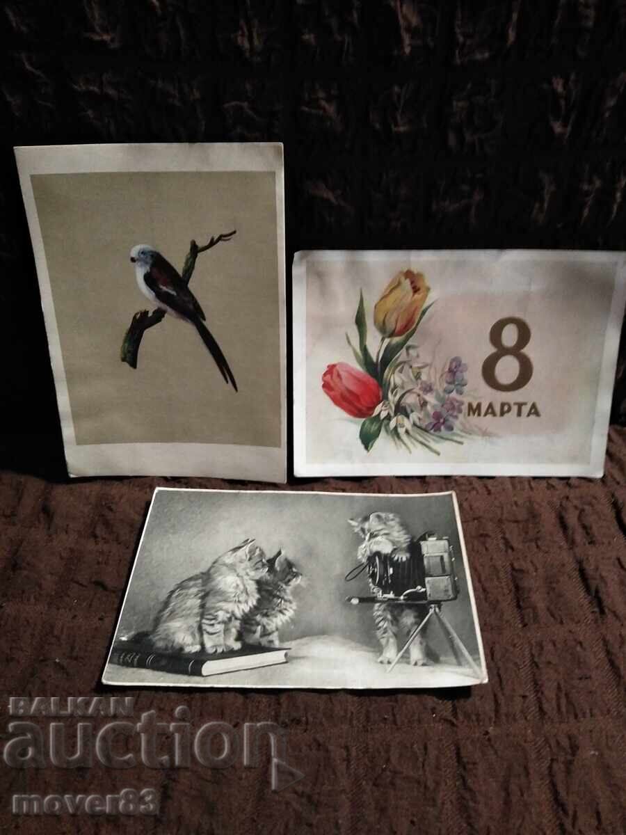 Картички.СССР . 50-те години