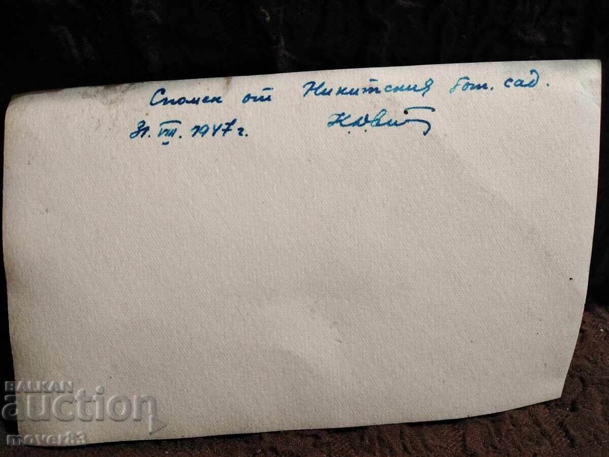 Old USSR postcard. 1947 with price 0.25 BGN | € 0.13 Old USSR postcard. 1947 with price 0.25 BGN | € 0.13