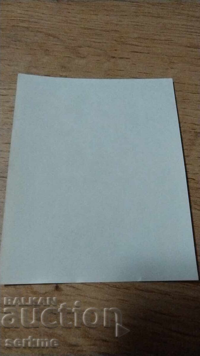 Auction Brand Auction Brand