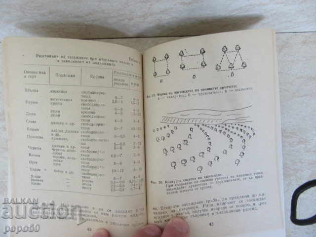 Delivery of SMALL ORCHARD - 1991 Delivery of SMALL ORCHARD - 1991