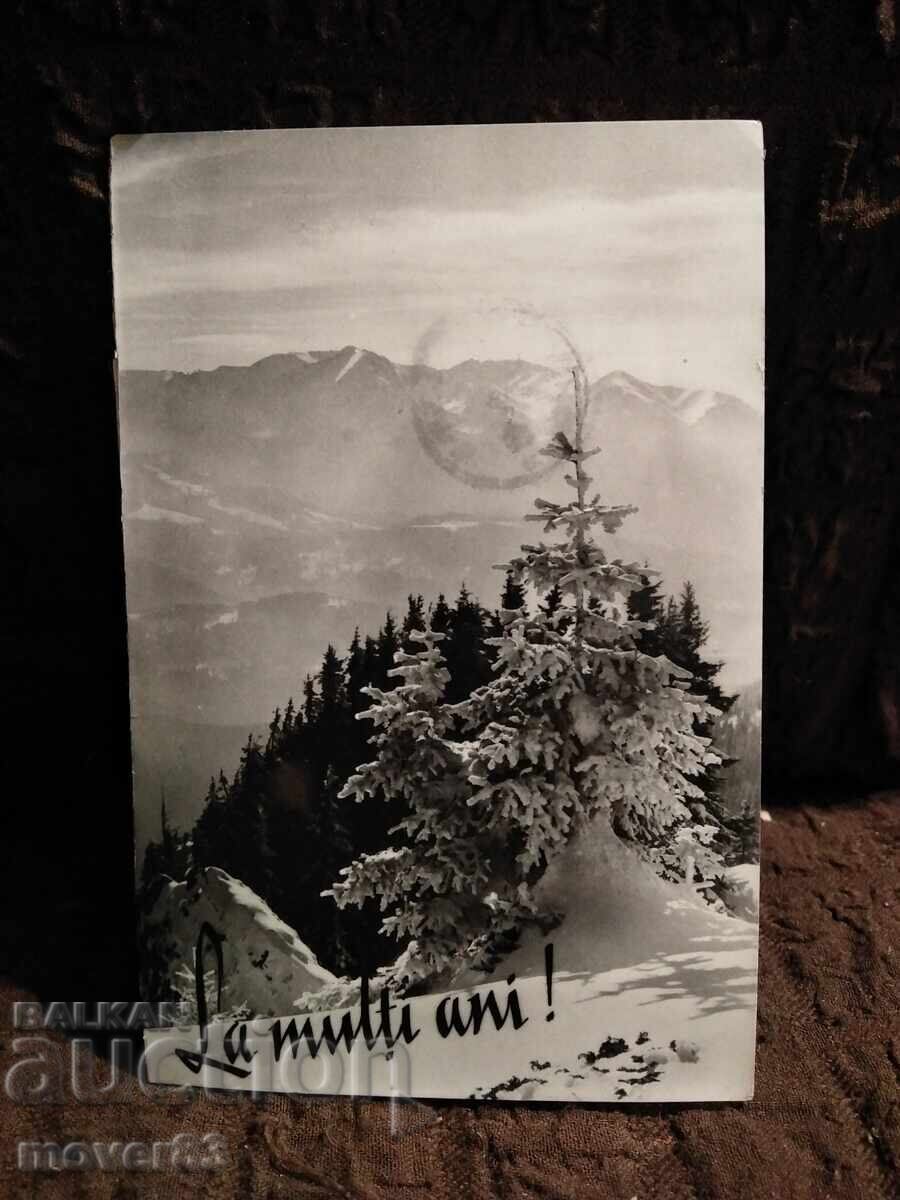 Old postcard. Romania. 1960s Old postcard. Romania. 1960s