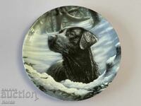 O farfurie frumoasa de portelan