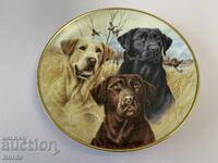 O farfurie frumoasa de portelan