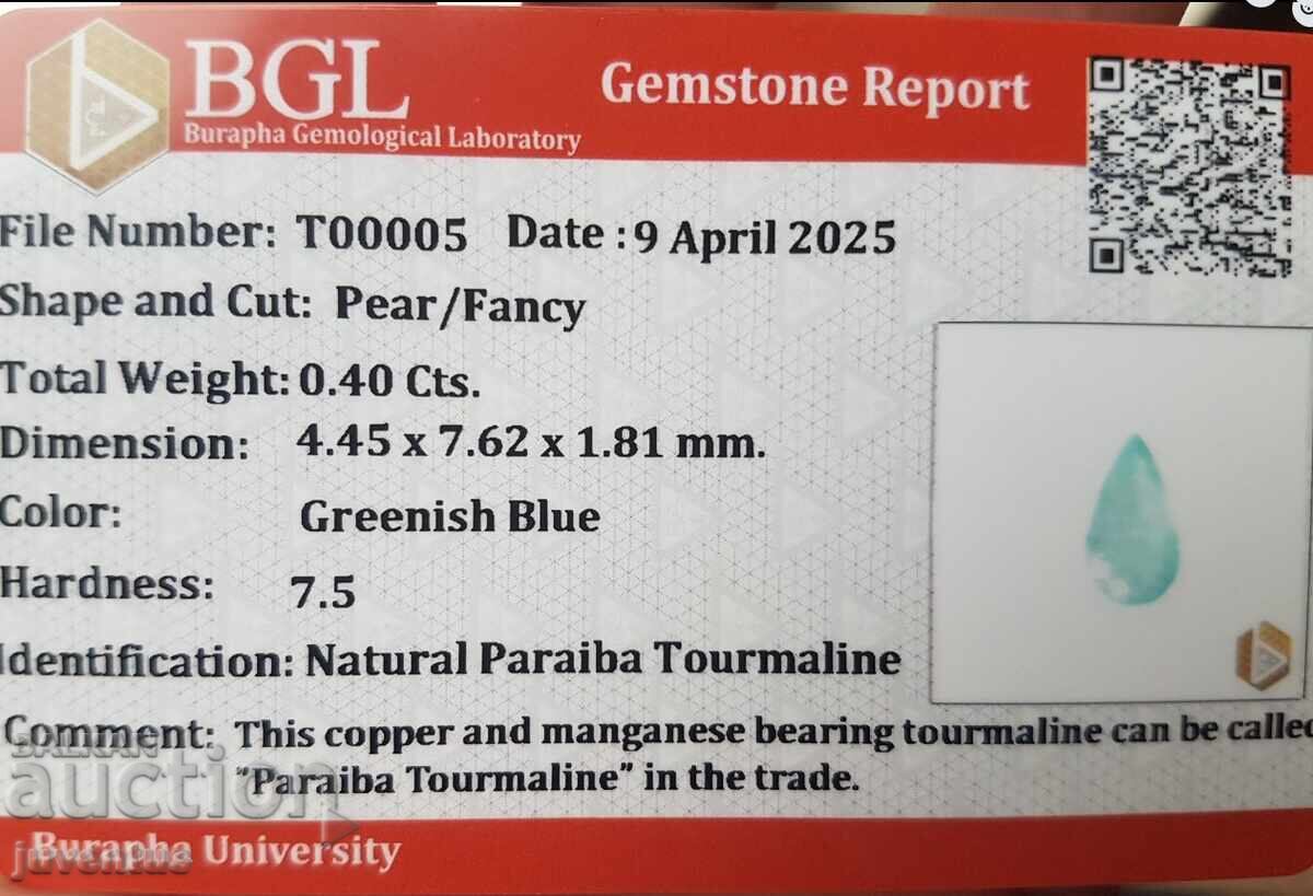 Δημοπρασία ΠΑΡΑΪΜΠΑ ΤΟΥΡΜΑΛΙΝ (ΜΟΖΑΜΒΙΚΗ) ΠΙΣΤΟΠΟΙΗΤΙΚΟ Δημοπρασία ΠΑΡΑΪΜΠΑ ΤΟΥΡΜΑΛΙΝ (ΜΟΖΑΜΒΙΚΗ) ΠΙΣΤΟΠΟΙΗΤΙΚΟ