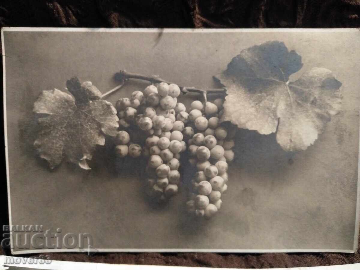 Old postcards Bulgaria. Set with price 0.59 BGN | € 0.30