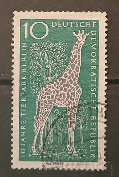 ΓΔΡ Φαύνα ΓΔΡ Φαύνα