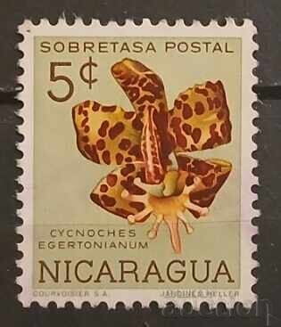 Νικαράγουα Φλόρα/Λουλούδια