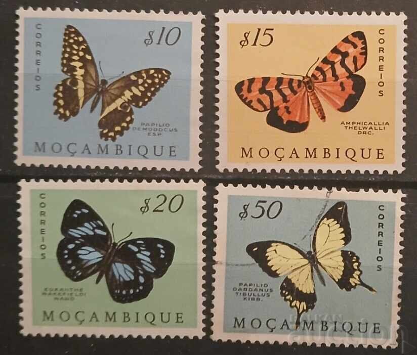 Mozambic Fauna/Fluturi Mozambic Fauna/Fluturi