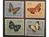 Mozambic Fauna/Fluturi