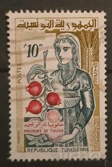 Tunisia Tunisia