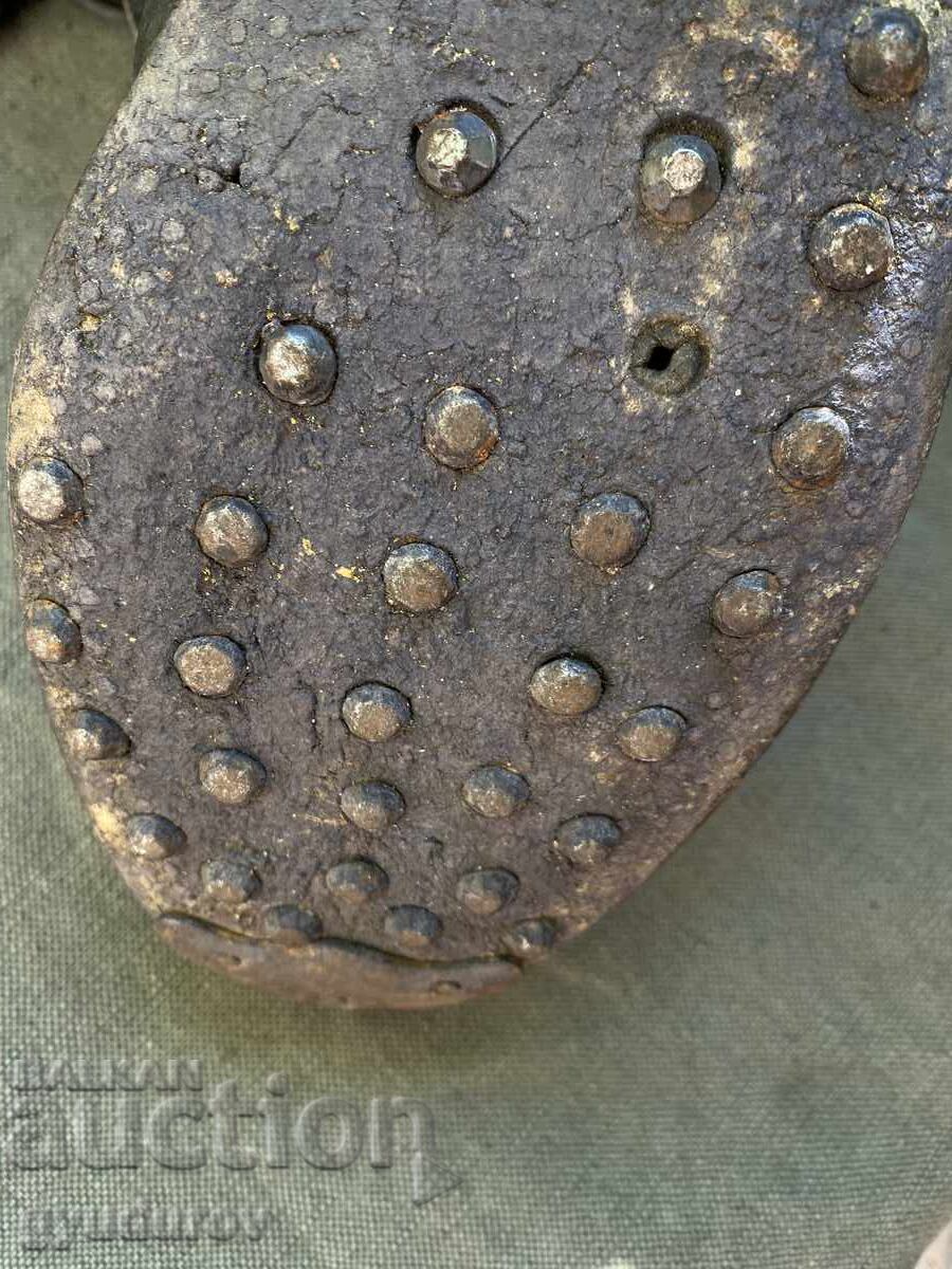 Cintari - 5 Cintari - 5