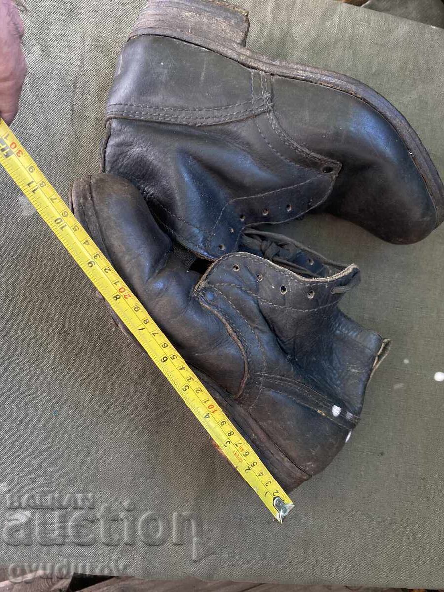 Cintari - 6 Cintari - 6