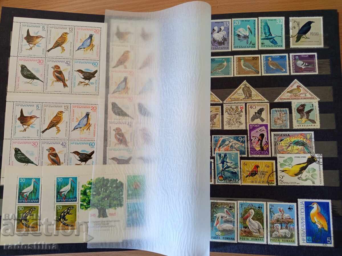 Licitație Mare album clasor pentru timbre poștale