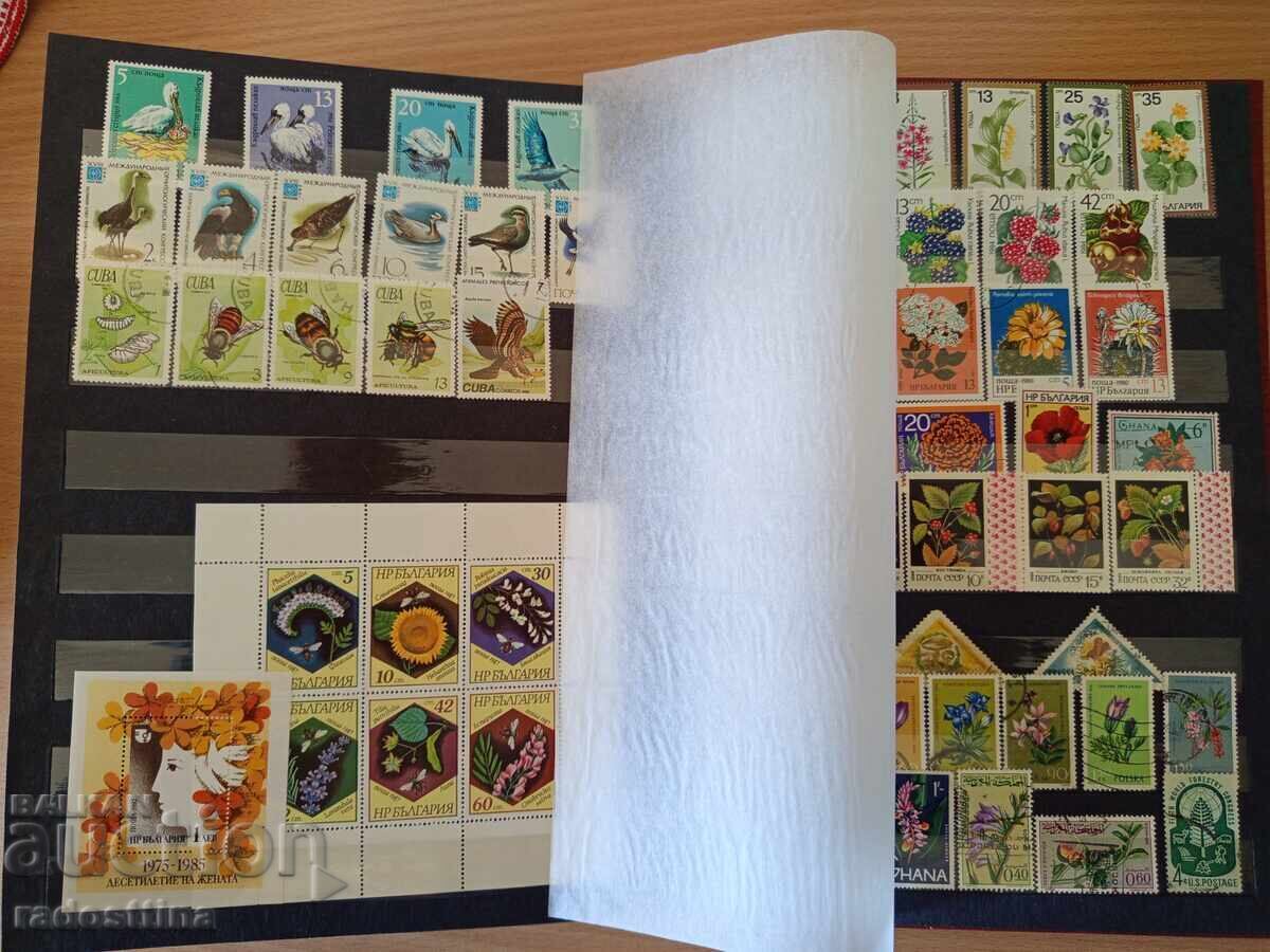 Livrarea Mare album clasor pentru timbre poștale