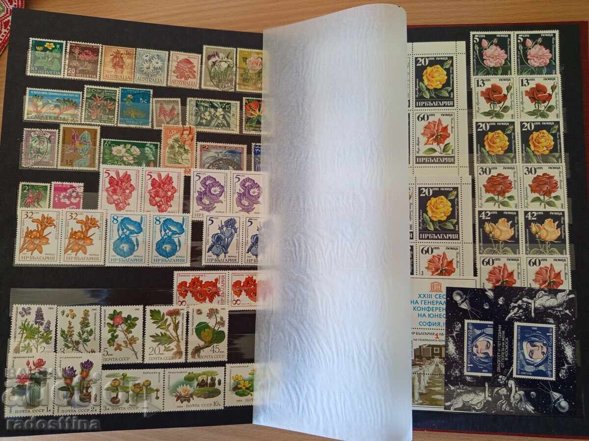 Mare album clasor pentru timbre poștale - 5