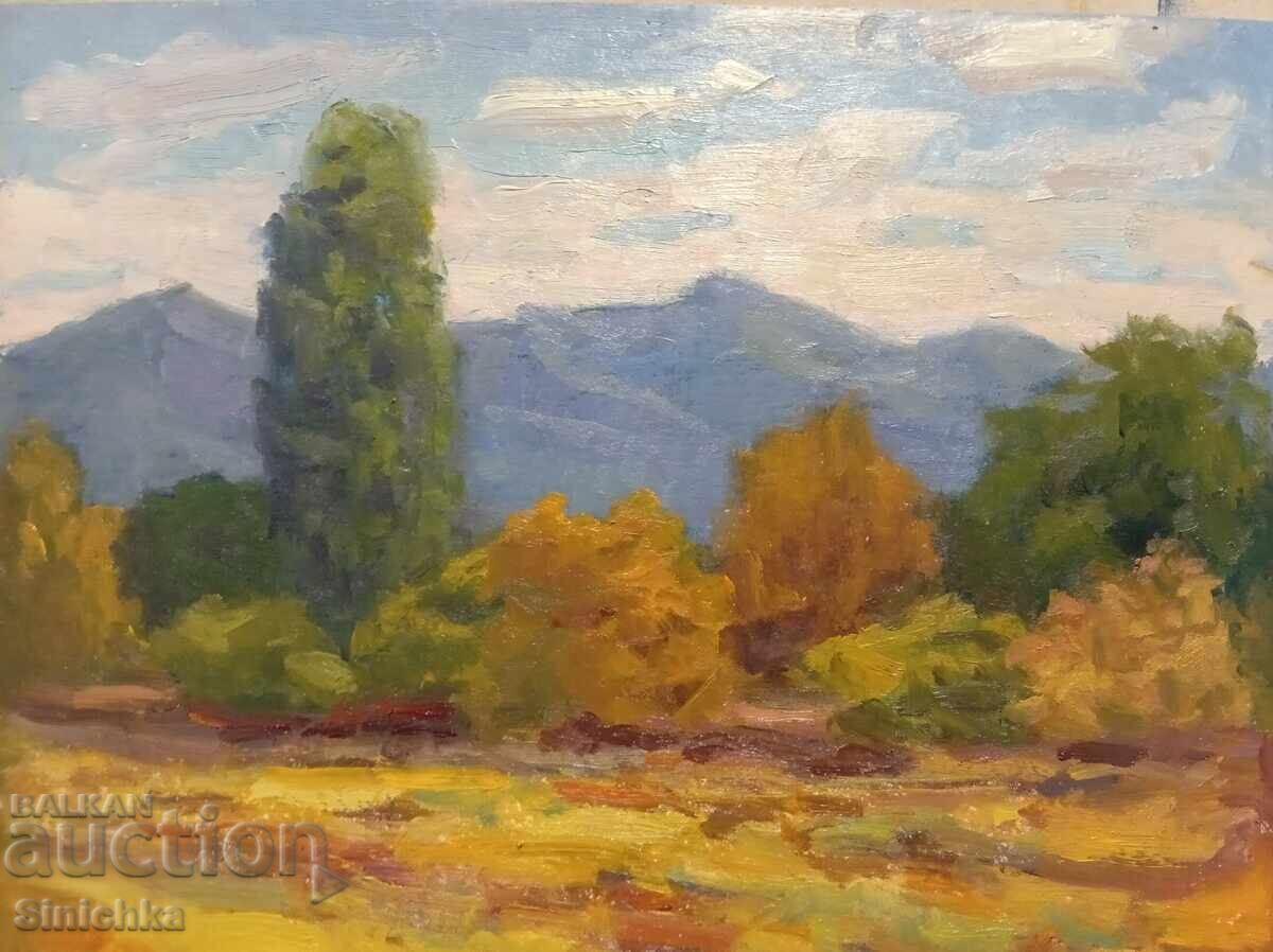 Studiu, peisaj 1. Vopsele în ulei