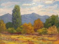 Studiu, peisaj 1. Vopsele în ulei