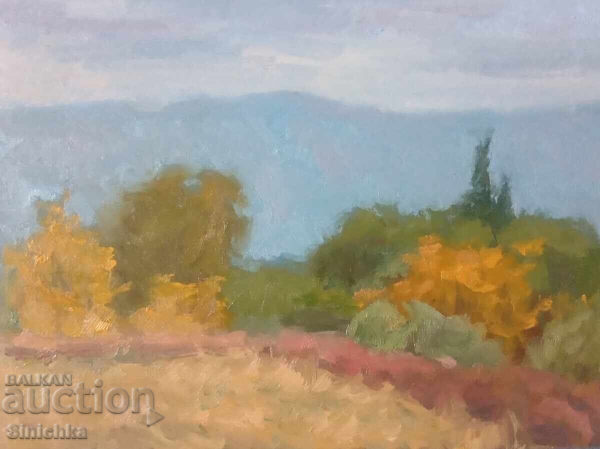 Studiu. Peisaj 5. Vopsele în ulei Studiu. Peisaj 5. Vopsele în ulei