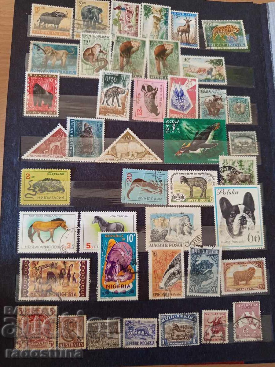 Album clasor mare cu timbre poștale din perioada socialistă (de la "Soc") cu preț 70.00 BGN | € 35.79