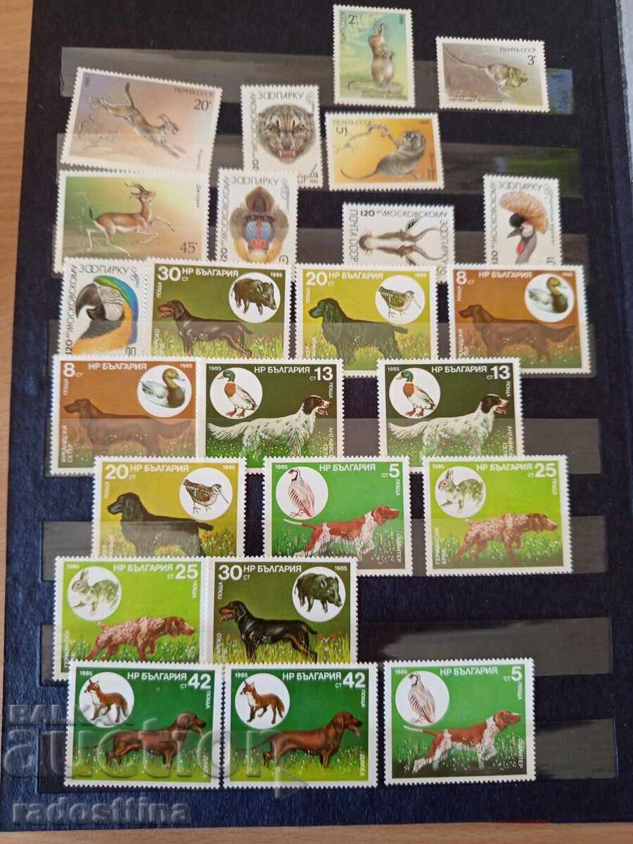 Livrarea Album clasor mare cu timbre poștale din perioada socialistă (de la "Soc")