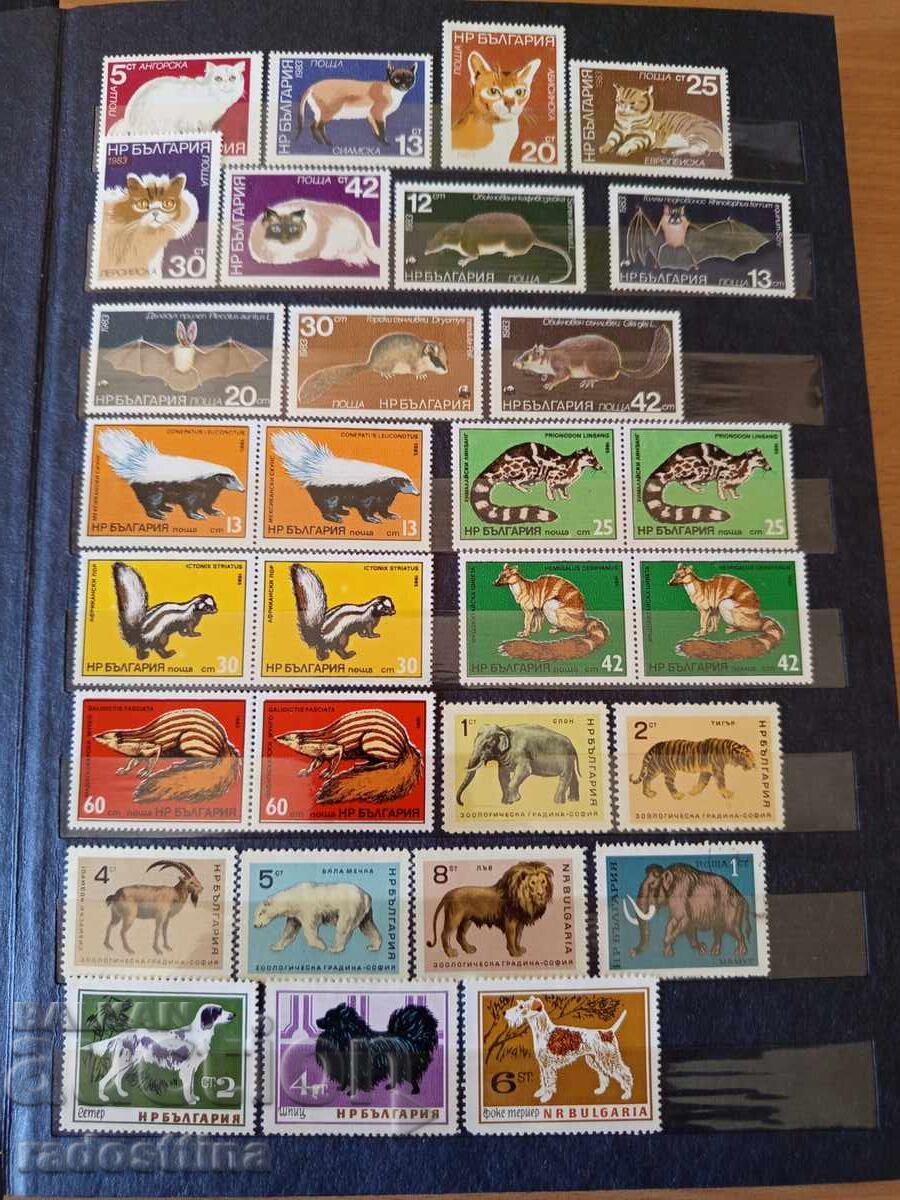 Album clasor mare cu timbre poștale din perioada socialistă (de la "Soc")