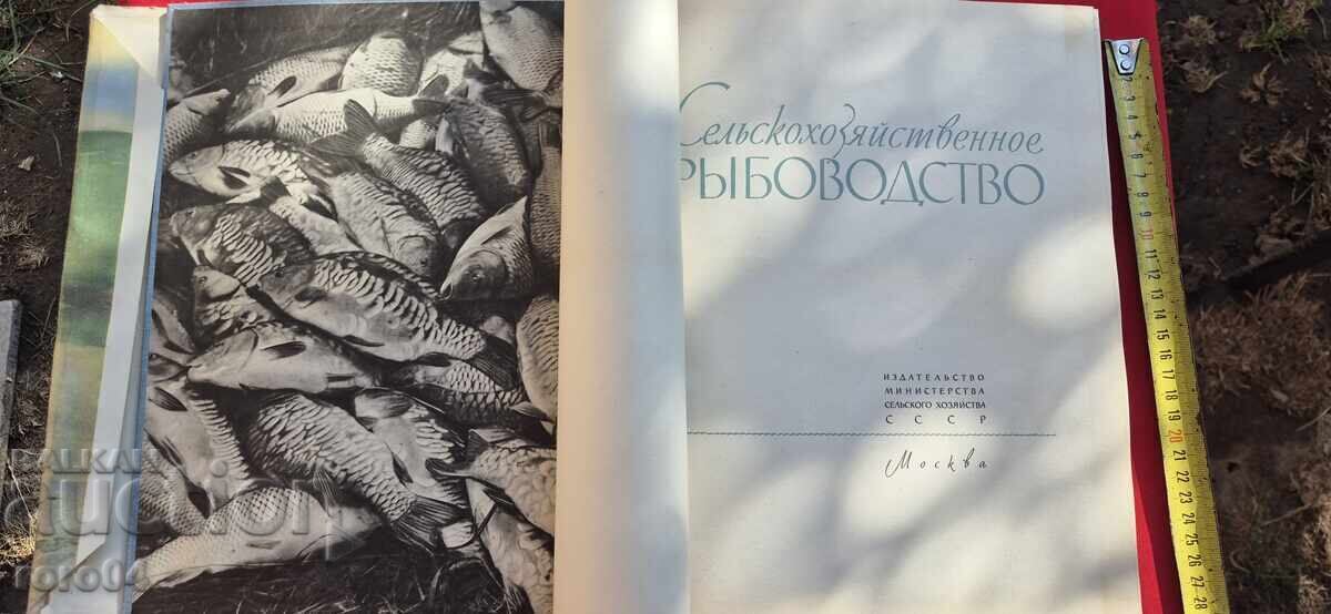 РИБОВЪДСТВО - АЛБУМ - СССР с цена € 39.99 | 78.21 лв. РИБОВЪДСТВО - АЛБУМ - СССР с цена € 39.99 | 78.21 лв.