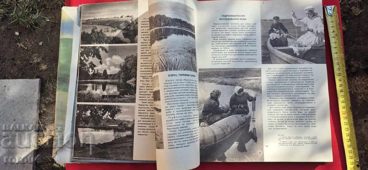 Аукцион РИБОВЪДСТВО - АЛБУМ - СССР Аукцион РИБОВЪДСТВО - АЛБУМ - СССР