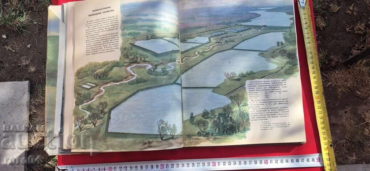 ΕΚΤΡΟΦΗ ΨΑΡΙΩΝ - ΑΛΜΠΟΥΜ - ΕΣΣΔ - 5 ΕΚΤΡΟΦΗ ΨΑΡΙΩΝ - ΑΛΜΠΟΥΜ - ΕΣΣΔ - 5