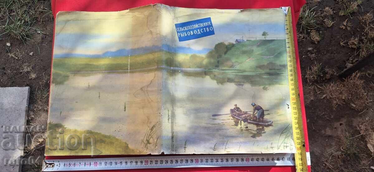 РИБОВЪДСТВО - АЛБУМ - СССР РИБОВЪДСТВО - АЛБУМ - СССР