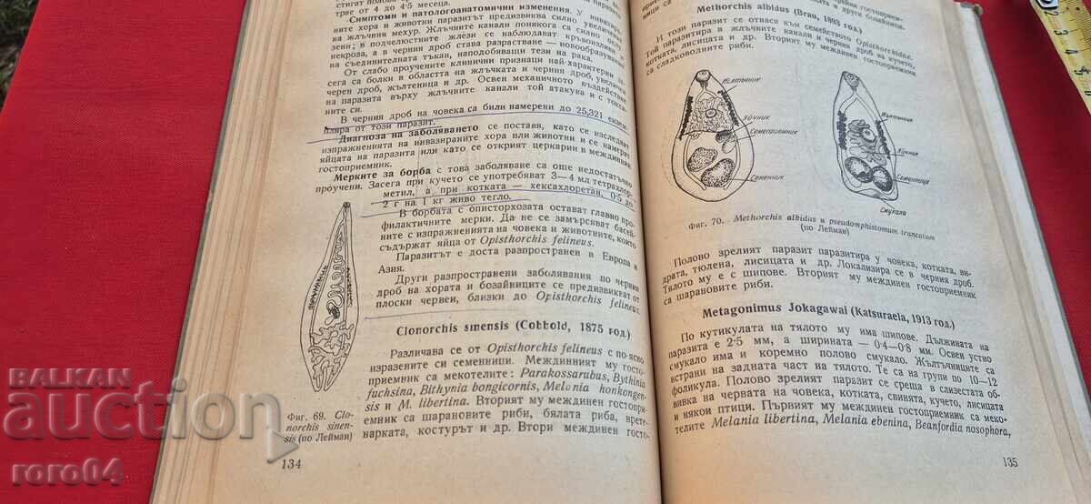 Παράδοση BOLESTI PO SLADKOVODNITE RIBI - DINYU ΣΑΒΟΦ (in Greek letters)