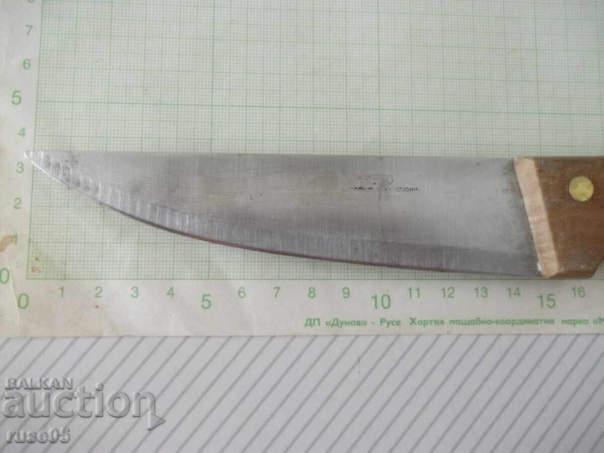 Kitchen knife "PERFECTO" with price 20.00 BGN | € 10.23