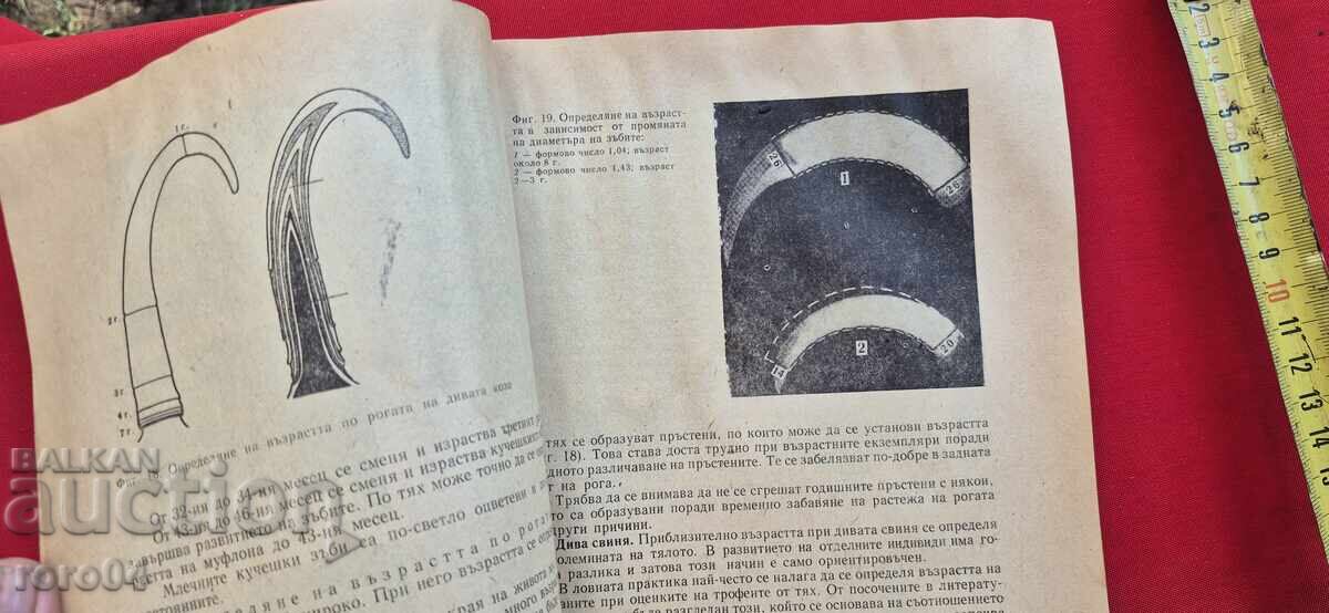 Доставка на РЪКОВОДСТВО ЗА УПРАЖНЕНИЯ ПО ЛОВНО СТОПАНСТВО