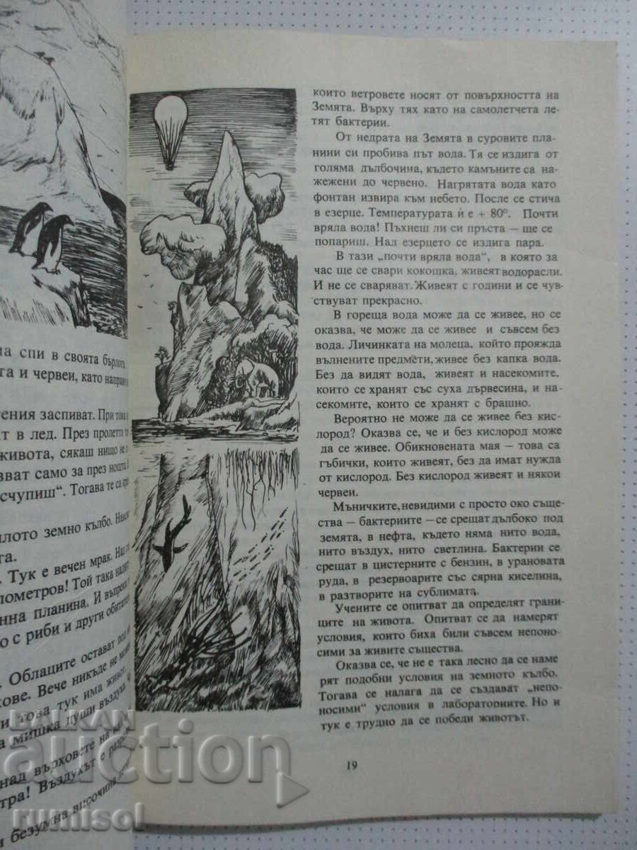 Martians, call! - Pavel Klushantsev - 5