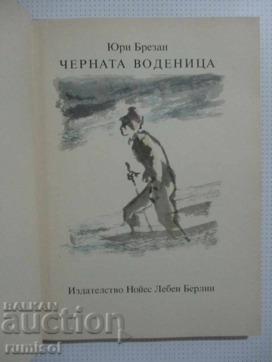 Аукцион Черната воденица - Юри Брезан