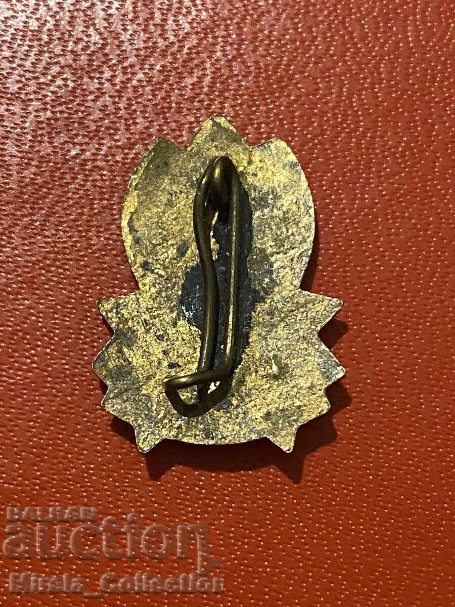 Σοσιαλιστικό Πρωτοπόρο σήμα πάντα έτοιμο σμάλτο με τιμή 4.00 BGN | € 2.05