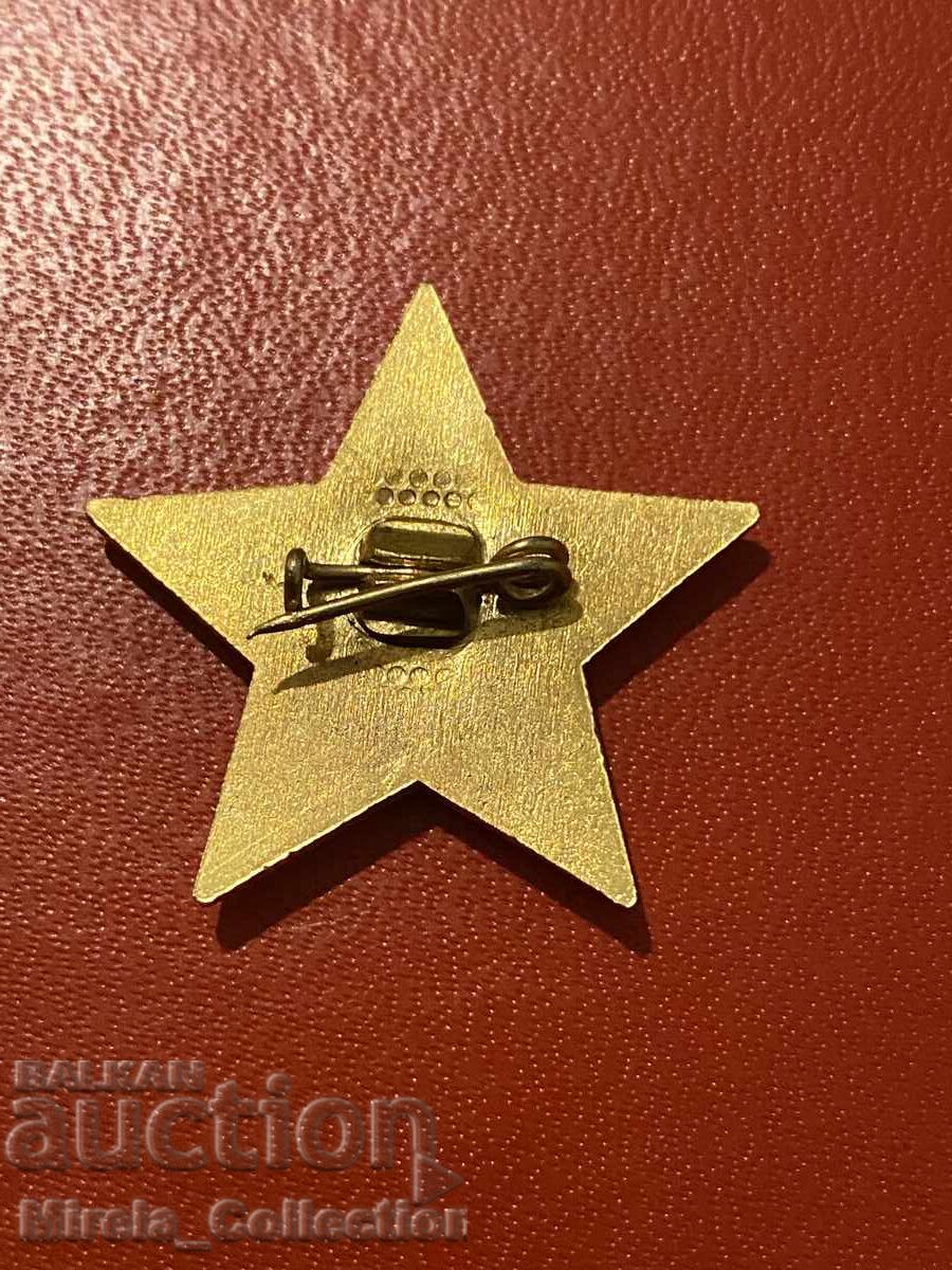 Παράδοση Σοσιαλιστικό σήμα XIII Συνεδρίου του ΒΚΠ