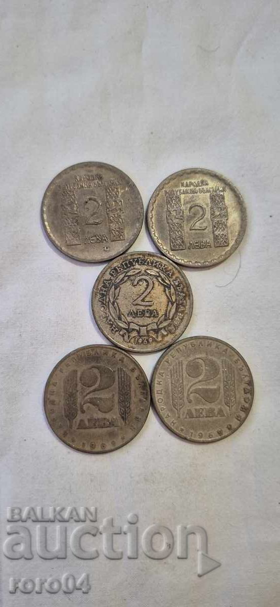 2 ΛΕΒΑ - 5 ΤΕΜΑΧΙΑ 2 ΛΕΒΑ - 5 ΤΕΜΑΧΙΑ