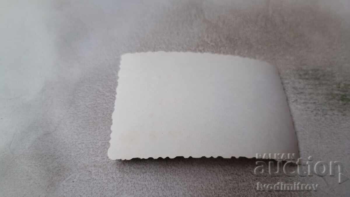 Fotografie Trei fete tinere în costume de baie pe pajiște cu preț 1.65 BGN | € 0.84