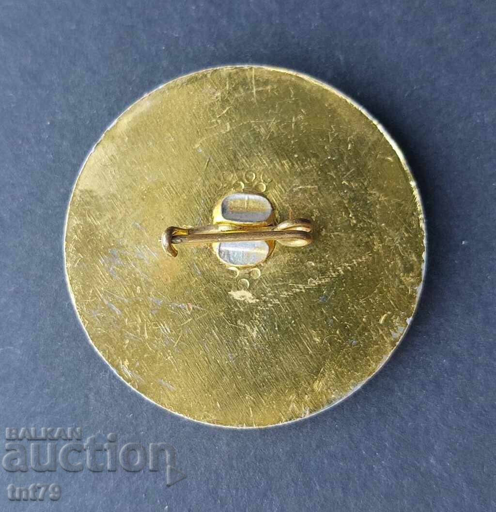 Insigna: 25 de ani 133 scoala „A. S. Pușkin” Sofia. cu preț 3.00 BGN | € 1.53