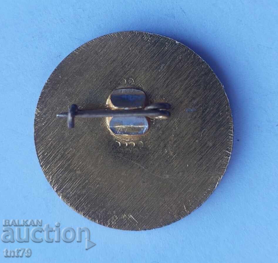 Badge: 133 school "A. S. Pushkin" Sofia. with price 3.00 BGN | € 1.53