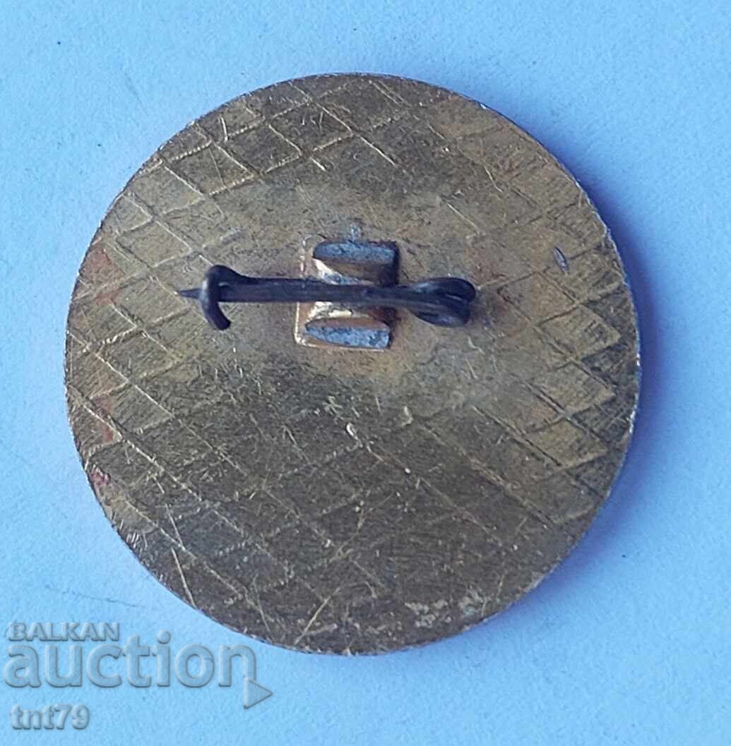 Σήμα: 20 γρ. 114ο σχολείο με διδασκαλία αγγλικών Σόφια με τιμή 3.00 BGN | € 1.53