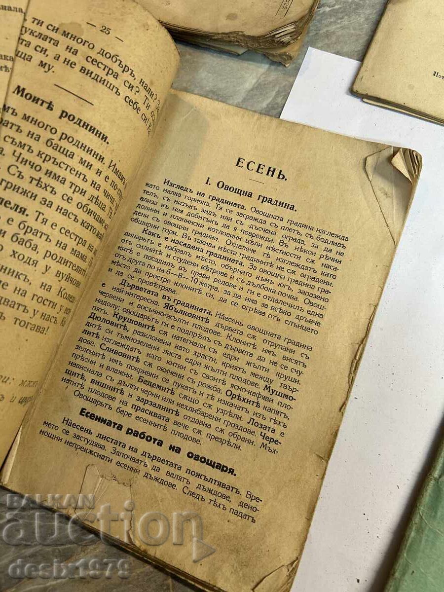 Old books from around 1900 in poor condition - 5