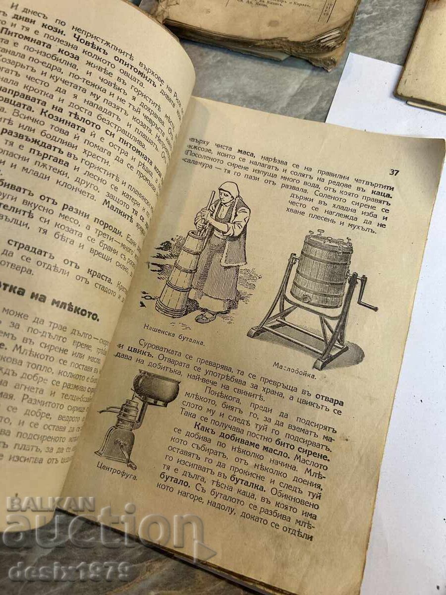 Old books from around 1900 in poor condition - 6