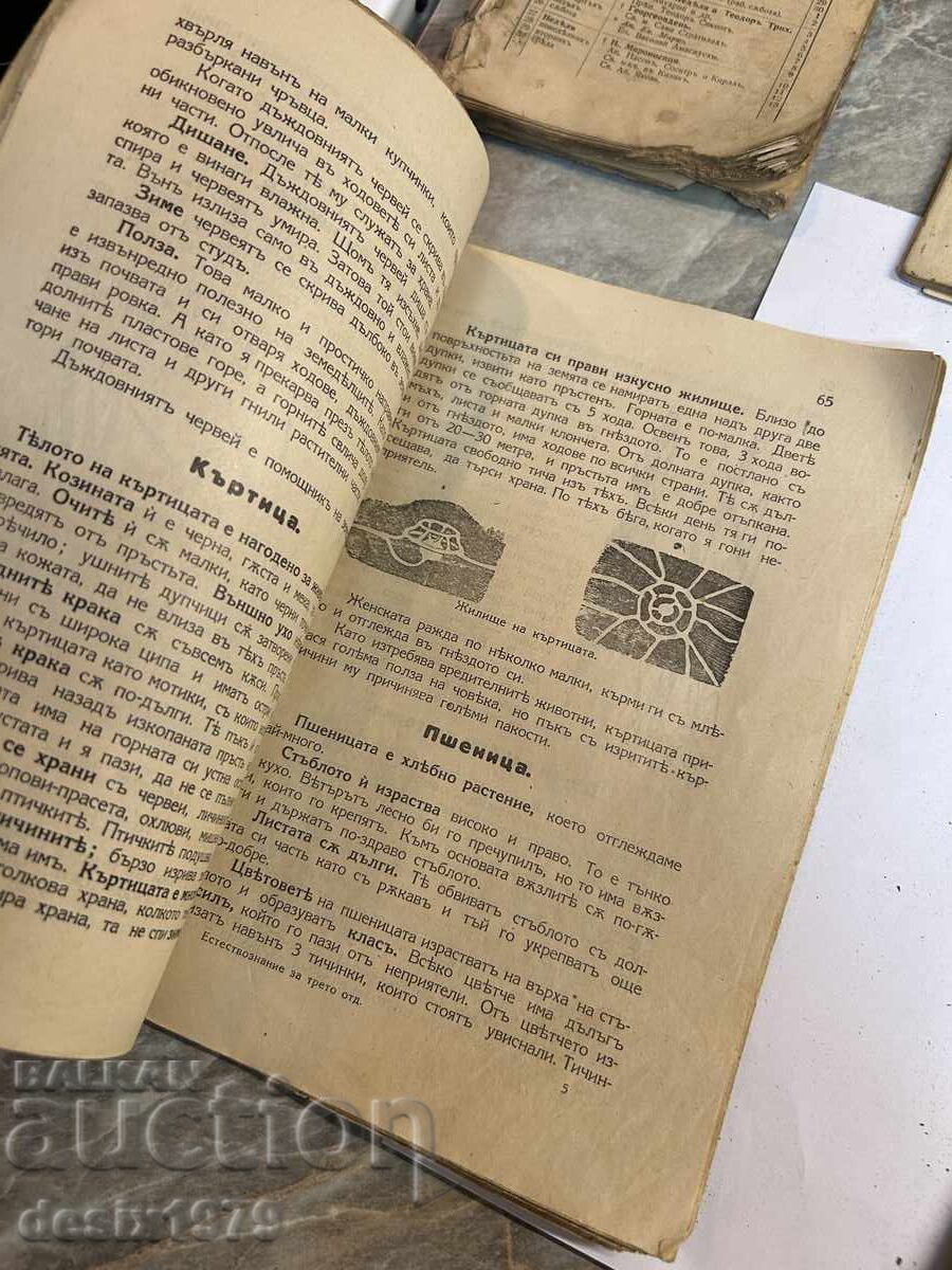 Old books from around 1900 in poor condition - 7
