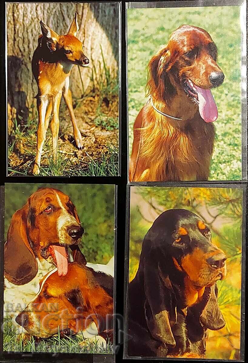 Calendaruțe cu animale cu preț 30.00 BGN | € 15.34