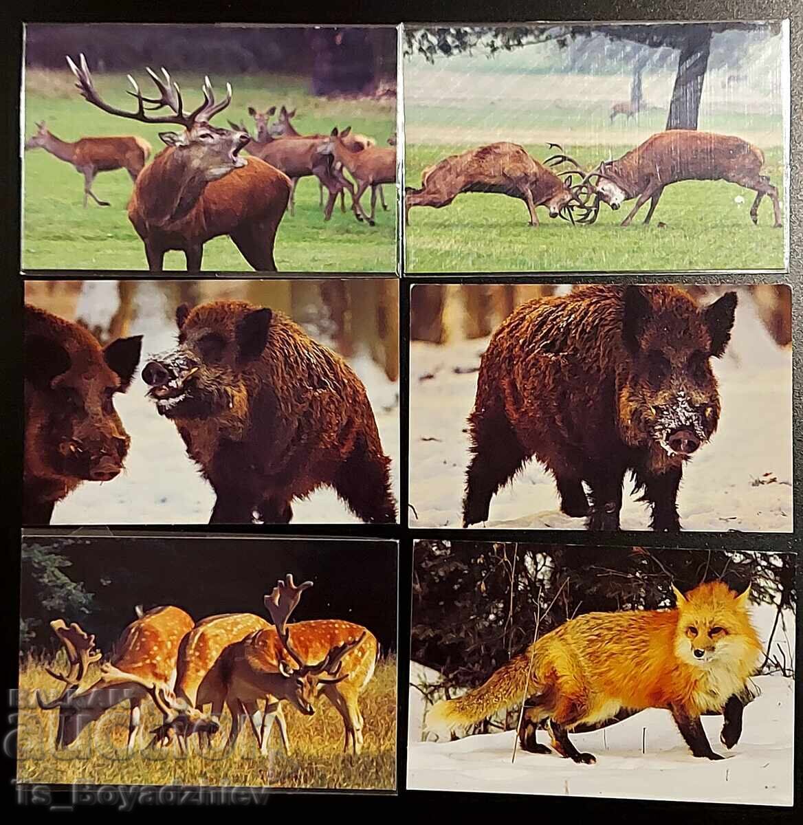 Δημοπρασία Ημερολόγια με ζώα Δημοπρασία Ημερολόγια με ζώα