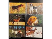 Animal calendars - 17 pcs