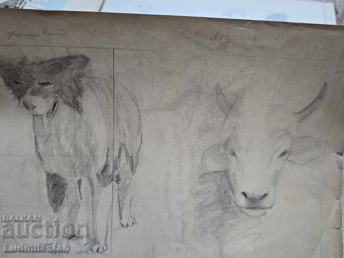 Β.Ζ. TS Λοτ Παλιά Σχέδια - 6 Β.Ζ. TS Λοτ Παλιά Σχέδια - 6