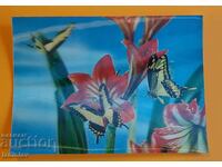 Ψηφιακή κάρτα